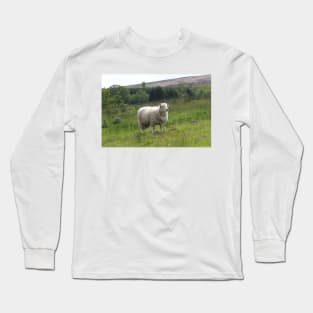 Sheep Long Sleeve T-Shirt